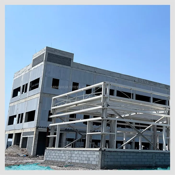 Steel Structure Pharmaceutical Workshop